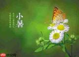 小暑节气的暑字是什么意思