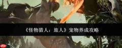 怪物猎人旅人:宠物养成方法与攻略