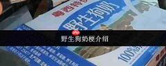 野生狗奶梗的含义及介绍