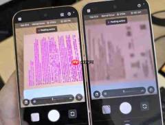 Pixel 11 Pro长焦相机近摄能力曝光 微距能力有所提升
