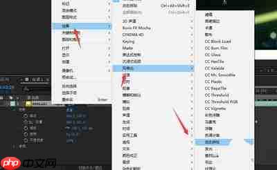 pr2020视频怎么镜像翻转