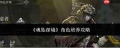 魂坠深境角色培养攻略全解析