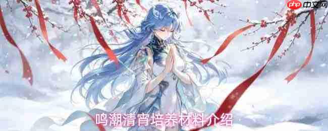 鸣潮清宵角色培养材料全览与介绍
