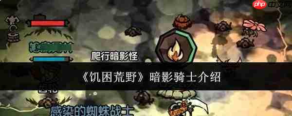 饥困荒野暗影骑士怎么样暗影骑士介绍