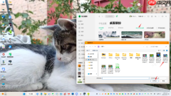 QQ音乐动态桌面有什么用_动态桌面启用技巧分享