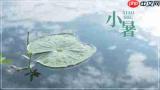 小暑时节哪种天气现象更为常见