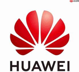 代号叶问登场!华为畅享100 Pro Max立项,搭载华为史上最大电池