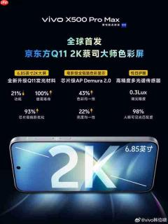 vivo韩伯啸揭秘X500 Pro Max屏幕 首发京东方Q11 2K屏