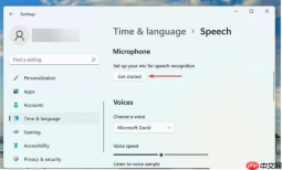 为什么Win11语音输入无反应 win11语音输入没反应解决教程