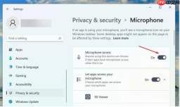 为什么Win11语音输入无反应 win11语音输入没反应解决教程