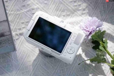 2026年视频相机怎么选?兼顾vlog、直播与人像好看的机型推荐