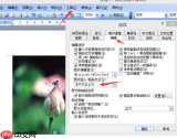 Word 2016如何设置修订模式不显示红线