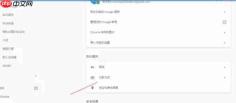 谷歌浏览器怎么设置付款方式-谷歌浏览器设置付款方式的方法