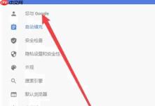 谷歌浏览器怎么设置付款方式-谷歌浏览器设置付款方式的方法