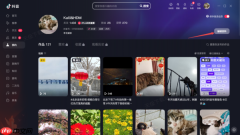 抖音客户端名字为什么总是更改失败?这些失败原因你可能没有想到!
