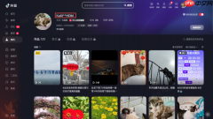抖音客户端名字为什么总是更改失败?这些失败原因你可能没有想到!