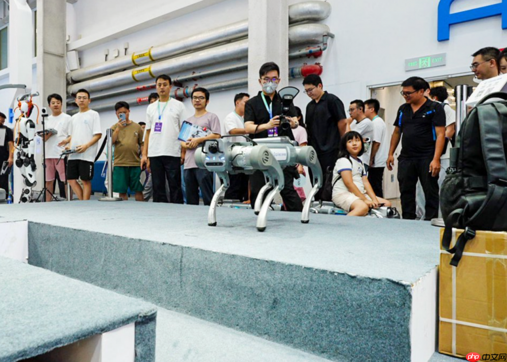 立足WRC,锚定全球,伽利略以GalileoX为支点跃迁生态服务商