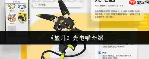 望月光电喵好不好？光电喵详情介绍