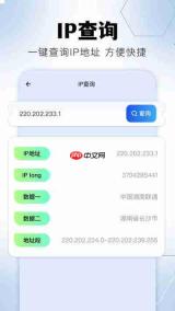金砖弱网怎么下载安装