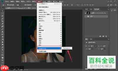 如何查看PRemiere磨皮插件的作用范围