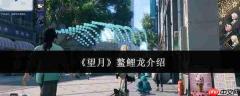 望月鳌鲤龙怎么样鳌鲤龙介绍