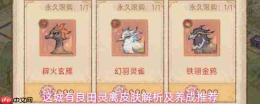 此城良田灵禽皮肤属性全览、解析与养成建议