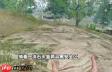 失控进化天赋是什么