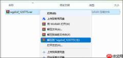塞尔达传说王国之泪存档怎么用