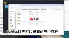 塞尔达传说王国之泪存档怎么用