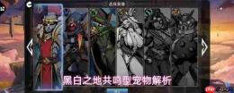 黑白之地共鸣型宠物介绍共鸣型宠物解析
