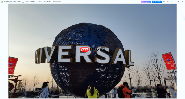 图片查看器用哪个好_2024最强悍也最好用的图片查看工具盘点