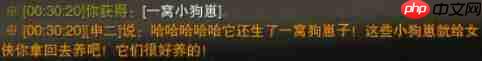 《剑网3》攻略——一念间宠物奇遇