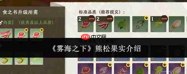 雾海之下:熊松果实详情及介绍