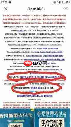 pixiv网页版在哪
