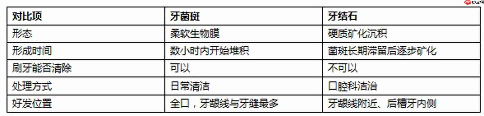 牙缝和牙龈线为什么最容易长牙结石?