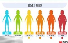 bmi体重计算器入口 bmi体重计算器在线计算入口