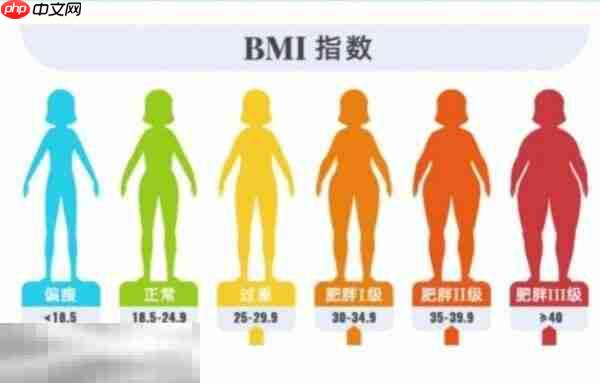bmi体重计算器入口 bmi体重计算器在线计算入口