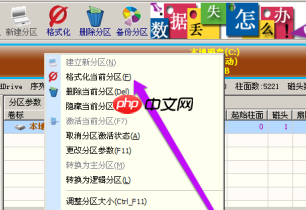 diskgenius怎么格式化硬盘？diskgenius格式化硬盘的方法