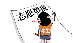 河北高考志愿可以填几个学校?96个平行志愿避坑指南
