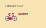 我要当老祖哪吒火系限定pvp搭配思路有哪些