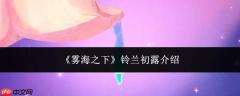 雾海之下初现的铃兰是什么——铃兰初露详解