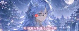 鸣潮清宵技能机制解析与全面详解
