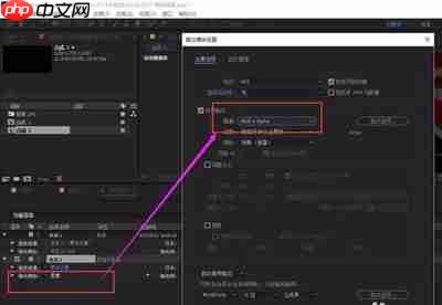 AE如何输出透明通道