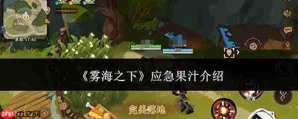雾海之下:应急果汁究竟是什么?应急果汁详解