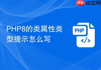 php8的类属性类型提示怎么写