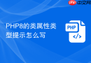 php8的类属性类型提示怎么写