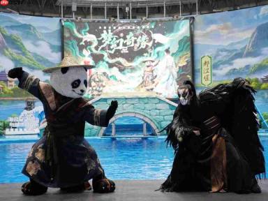 一秀一城,一脉“奇缘”——内容力时代的海合安答卷
