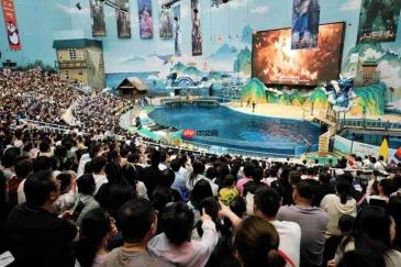 一秀一城,一脉“奇缘”——内容力时代的海合安答卷