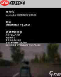 和平精英如何进行拍照