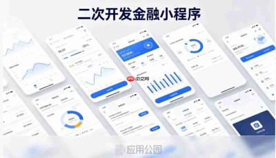 想二次开发金融小程序,会遇到哪些隐藏难题?
